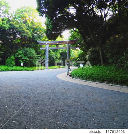 都心の静寂を感じる神社参道と大鳥居。イラスト風の写真。 137612408