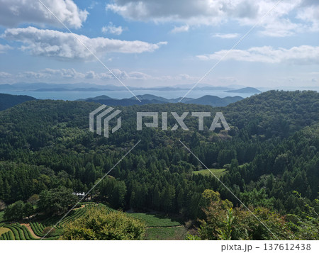 A distant view of the sea and forest A distant view of the sea and forest 137612438