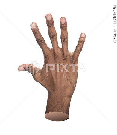 Hand gesture showing five fingers apart in counting pose, isolated on white. Close up. 137612593