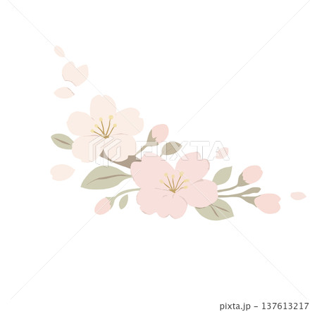 花 フラワー お花 137613217
