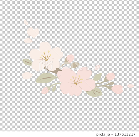 花 フラワー お花 137613217