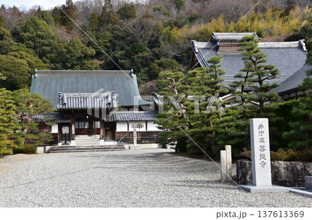 滋賀県彦根市 清涼寺と山並み 滋賀県彦根市 清涼寺と山並み 137613369