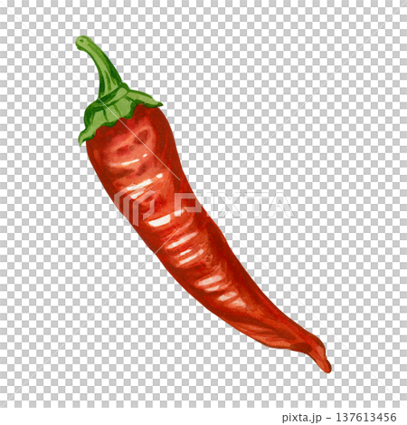 Red cayenne pepper, hand-drawn in watercolor and isolated on a white background. A hot spice for culinary design, menu design, packaging, recipes, and cooking. Red cayenne pepper, hand-drawn in watercolor and isolated on a white background. A hot spice for culinary design, menu design, packaging, recipes, and cooking. 137613456