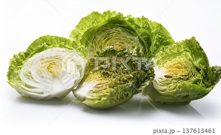 白背景のレタス｜カット断面入りの葉野菜素材 137613461