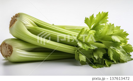 白背景のセロリ｜葉付きで並ぶ緑の野菜素材 137613472