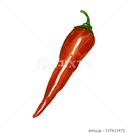A red Romano pepper, hand-painted in watercolor and isolated on a white background. Sweet pepper for healthy food design, menu illustrations, recipes, and food packaging. 137613473