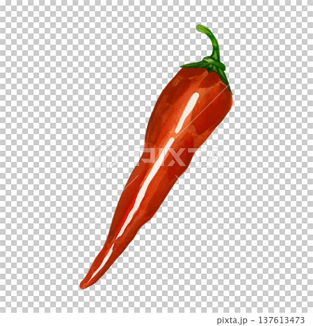 A red Romano pepper, hand-painted in watercolor and isolated on a white background. Sweet pepper for healthy food design, menu illustrations, recipes, and food packaging. 137613473