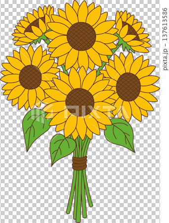 Vibrant Sunflower Bouquet Illustration with Yellow Petals and Green Leaves for Floral Design Vibrant Sunflower Bouquet Illustration with Yellow Petals and Green Leaves for Floral Design 137613586
