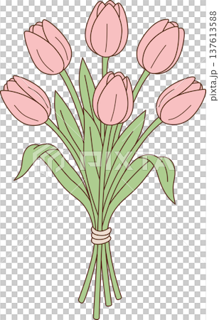 Pink Tulips Bouquet Tied with String Illustration, Beautiful Spring Floral Bunch Vector, Minimalist Flower Gift Cartoon Pink Tulips Bouquet Tied with String Illustration, Beautiful Spring Floral Bunch Vector, Minimalist Flower Gift Cartoon 137613588