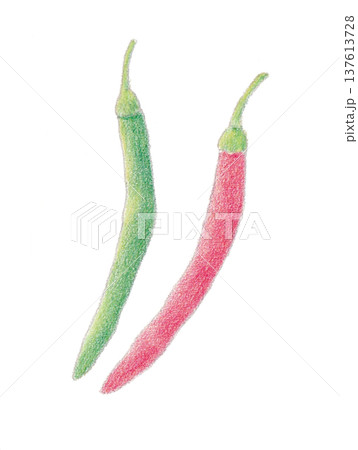 色えんぴつ画のとうがらし 色えんぴつ画のとうがらし 137613728