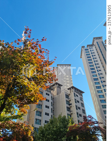 Autumn scenery with apartments and maple trees Autumn scenery with apartments and maple trees 137613905