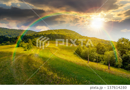 sunset over grassy rural fields in mountain landscape. country road to the forest through rolling hills. beautiful picture of a scenery on summer weather with clouds on sky under rainbow sunset over grassy rural fields in mountain landscape. country road to the forest through rolling hills. beautiful picture of a scenery on summer weather with clouds on sky under rainbow 137614280