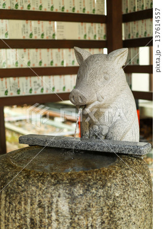 猪の手水舎 / Boar water fountain at Japanese shrine 猪の手水舎 / Boar water fountain at Japanese shrine 137614557