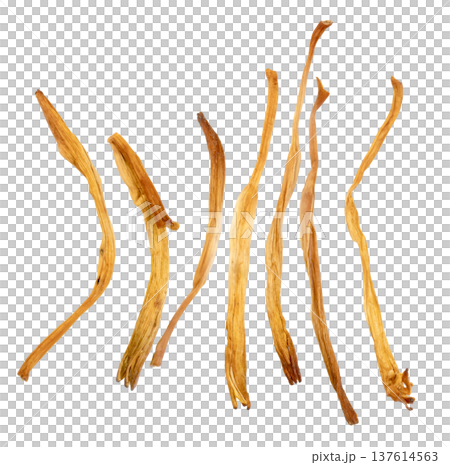 Top view of dried lily buds isolated. Common ingredient in Asian cuisine like hot and sour soup. Elongated golden yellow dried flower petals for cooking and herbal medicine. 137614563
