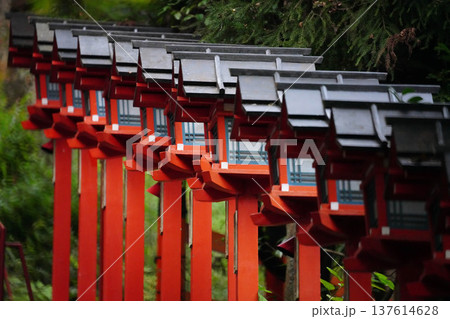 京都貴船の参道の階段と鳥居と灯籠 137614628
