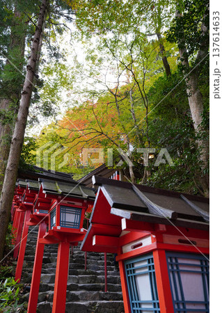 京都貴船の参道の階段と鳥居と灯籠 京都貴船の参道の階段と鳥居と灯籠 137614633