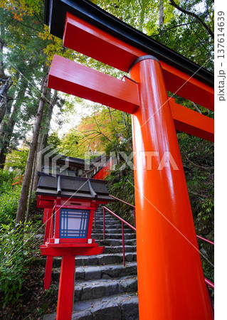 京都貴船の参道の階段と鳥居と灯籠 137614639