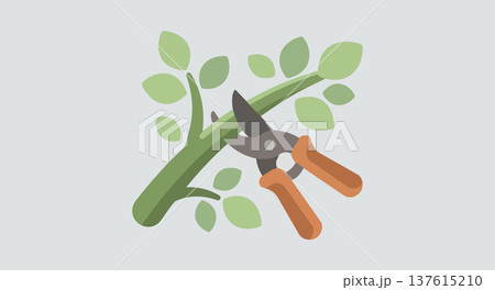 Hand pruners cutting a green branch with leaves symbol of gardening plant maintenance trimming bushes 137615210