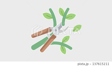 Pruning scissors cutting plant stem with green leaves representing garden maintenance trimming branches 137615211