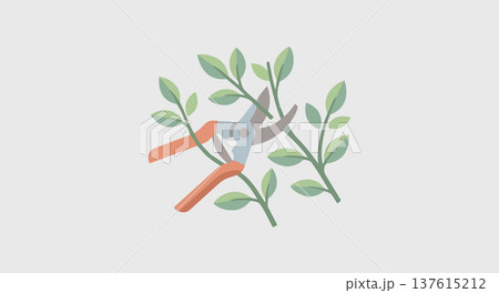 Garden pruning tool cutting fresh leafy branch concept of plant care landscaping trimming and maintaining healthy plants 137615212