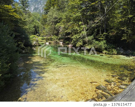 Crystal clear turquoise water of the Sava Bohinjka river flowing Crystal clear turquoise water of the Sava Bohinjka river flowing 137615477