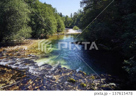 Crystal clear turquoise water of the Sava Bohinjka river flowing 137615478