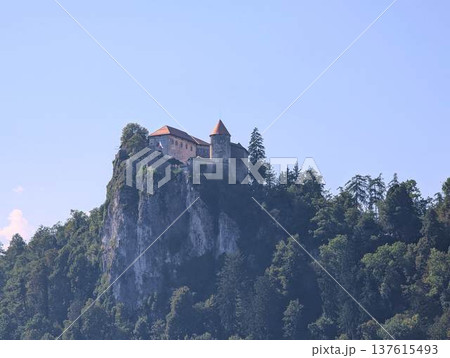 Scenic panoramic view of Lake Bled with the island church and mountains in the background Scenic panoramic view of Lake Bled with the island church and mountains in the background 137615493