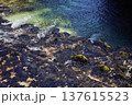 Crystal clear turquoise water of the Sava Bohinjka river flowing 137615523