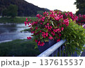 Panoramic view of the town of Sentjur in Slovenia with mountains in the background 137615537