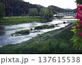 Panoramic view of the town of Sentjur in Slovenia with mountains in the background 137615538