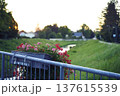 Panoramic view of the town of Sentjur in Slovenia with mountains in the background 137615539