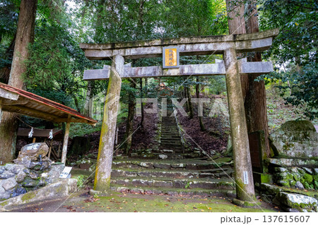 銀鏡神社の鳥居の風景(西都市) 銀鏡神社の鳥居の風景(西都市) 137615607