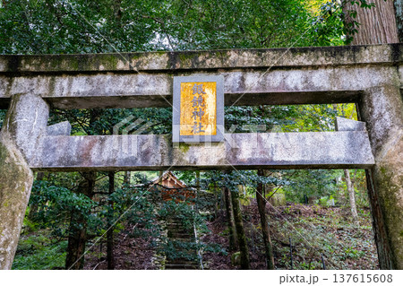 銀鏡神社の鳥居の風景(西都市) 銀鏡神社の鳥居の風景(西都市) 137615608
