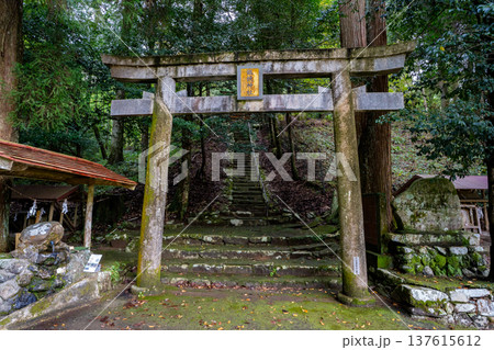 銀鏡神社の鳥居の風景（西都市） 137615612