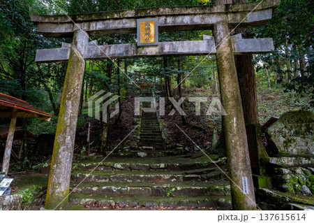 銀鏡神社の鳥居の風景(西都市) 銀鏡神社の鳥居の風景(西都市) 137615614