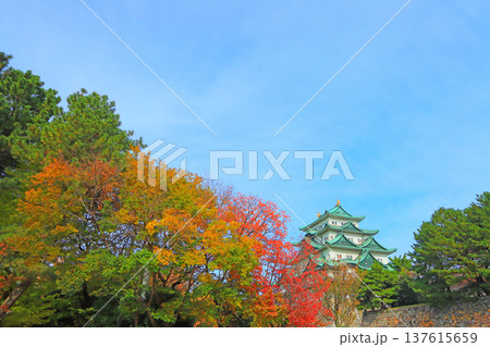 愛知県名古屋市、秋の名古屋城の風景 137615659
