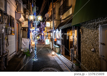 JR大森駅・山王小路飲食店街（地獄谷）の夜景 昭和レトロな路地裏と看板 137615809