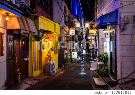 JR大森駅・山王小路飲食店街（地獄谷）の夜景 昭和レトロな路地裏と看板 137615815