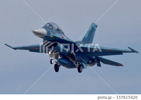 着陸態勢に入ったF-2 (航空機) 着陸態勢に入ったF-2 (航空機) 137615820