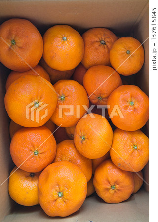 大小さまざまな大きさの甘平が入ったお徳用な箱詰め 大小さまざまな大きさの甘平が入ったお徳用な箱詰め 137615845