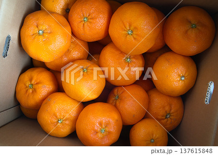 大小さまざまな大きさの甘平が入ったお徳用な箱詰め 137615848