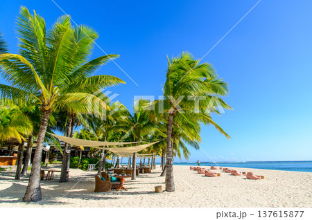 モーリシャスにあるル・モーンビーチのとても美しい風景 137615877