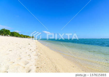 モーリシャスにあるル・モーンビーチのとても美しい風景 137615893