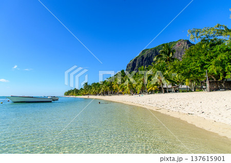 モーリシャスにあるル・モーンビーチのとても美しい風景 137615901