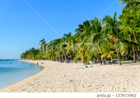 モーリシャスにあるル・モーンビーチのとても美しい風景 137615902