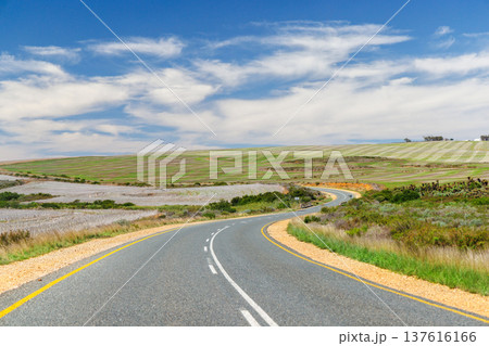 Asphalt road in South Africa surrounded by fields Asphalt road in South Africa surrounded by fields 137616166