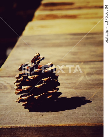 木目調デッキに置かれた、渋いトーンの松ぼっくり 137616304