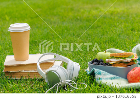 Picnic on a lawn with books, sandwiches, fruits Picnic on a lawn with books, sandwiches, fruits 137616358