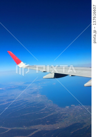 フライト中の飛行機 137616607