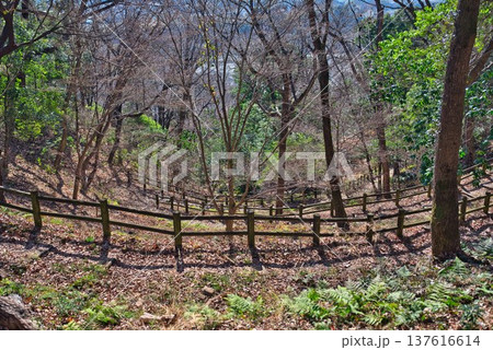 阿波の土柱ハイキングコース 137616614